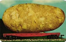 Vintage Postcard- A giant potato on a train car. UnPost 1960s picture