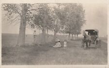 Real photo horse buggy fence trees watching picnic vintage postcard unposted picture