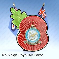 No 6 Squadron Royal Air Force Flower of Remembrance picture