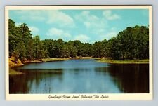 Between The Lakes Recreational KY-Kentucky Scenic View  Vintage Postcard picture