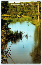 HELLO FROM EMILY MINNESOTA COOL AND DEEP LAKE SCENE POSTCARD picture