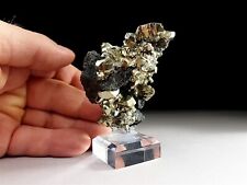 Brilliant Golden Pyrite Crystal Cluster with Sphalerite from Borieva Mine picture