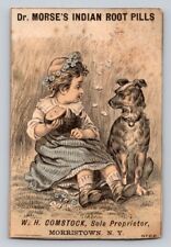 Dr Morses Indian Root Pills Girl Dog W H Comstock Morristown New York P12 picture