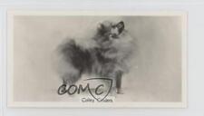 1938 Sinclair Champion Dogs Tobacco Colley Cinders #17 0a4f picture