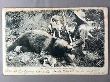 1907 HUNTING GRIZZLY BEAR Dog ROCKY MOUNTAINS Shotgun Postcard ANTIQUE picture