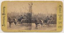 NEW YORK CITY SV - Central Park - Horse-Drawn Carriage - 1880s picture