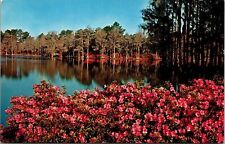 Greenfield Gardens Municipal Park Wilmington North Carolina Reflection Postcard picture