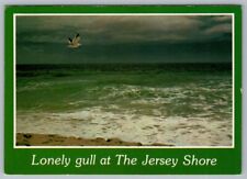 Postcard New Jersey Lonely Gull and Waves The Jersey Shore picture