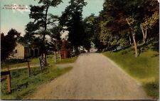 Postcard~Walton New York~Drive at Pinesville~Country Road~c1910~Unposted picture