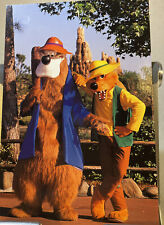 Vintage Walt Disney World  Splash Mountain Postcard Brer Bear Fox Pristine Rare picture