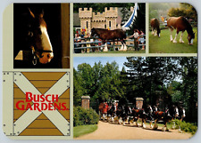 Continental Postcard~ Clydesdale Horses~ Busch Gardens~ Williamsburg, Virginia picture