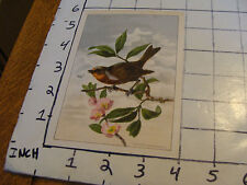 VINTAGE 1879 L. PRANG BIRD CARD, #3 picture