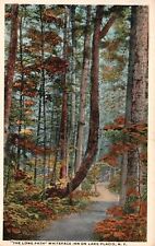 The Long Path Whiteface Inn On Lake Placid New York NY Santway Vintage Postcard picture