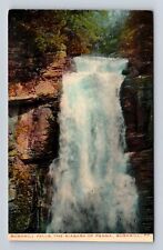 Bushkill PA- Pennsylvania, Bushkill Falls, Antique, Vintage Souvenir Postcard picture