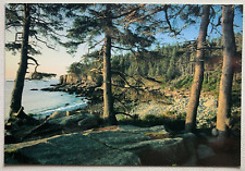 Otter Point Acadia National Park Postcard Maine Unposted Chrome Divided Back picture