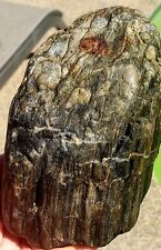 Perfect Piece Of Natural Rough Agatized Petrified Wood From Gold Country picture