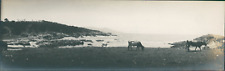 USA, Monterey (California) Vintage Silver Print. Panoramic View. Panoramic View picture