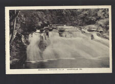 c.1930s Paradise Falls Henryville Pennsylvania PA Albertype Postcard UNPOSTED picture