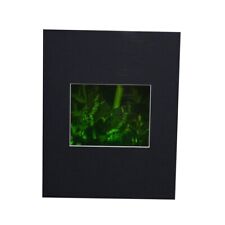 3D Butterfly Hologram Picture MATTED, Collectible on Silver Halide Type Film picture