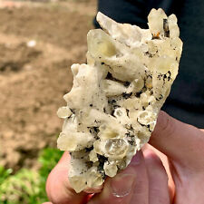150g A+++ Natural White Crystal Himalayan Quartz Cluster picture