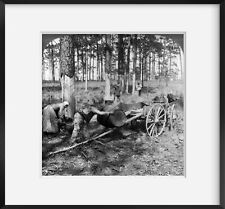 Photo: Great Pine Forests, South, Gathering Crude Turpentine, North Carolina, NC picture