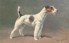 Artist Signed Jean Rivet Wire haired  Fox Terrier Vintage Postcard c 1940s-60s picture
