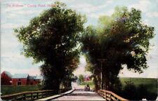 The Willows County Road Houlton Maine ME c1910 Berry Paper Co Postcard H53 picture