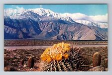 Indio CA-California, Snow Topped Mountains, Giant Barrel Cactus Vintage Postcard picture