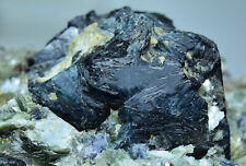 Superb Quality Dravite Tourmaline Crystal w/ Sapphire On Mica Matrix 672 Gram picture