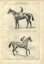 1879 Horseracing Winners Of The Derby And Oaks Wheel Of Fortune Sir Bevys picture