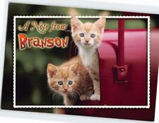 Postcard Kitten in a Mailbox A Note from Branson Missouri USA picture