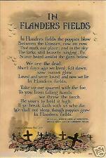 WW II - USA -Photo --   ..In Flanders Field   ... picture