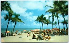 Postcard - A Lovely Florida Beach - Florida picture
