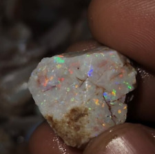 NATURAL AUSTRALIAN OPAL SHELL, IN THE ROUGH, FULL RAINBOW OF COLOURS picture