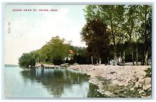 c1910's Cottages Lake Scene Near St. Peter Minnesota MN Posted Antique Postcard picture