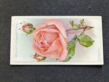 1926 Wills Roses Card # 16 Gorgeous (VG/EX) picture