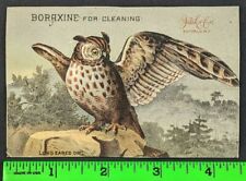 Vintage 1880's Boraxine Elite Toilet Soap Owl Spreading Wings Rock NY Trade Card picture