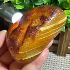 Top Bonsai Suiseki-Natural Gobi Agate Eyes Stone-Rare Stunning Viewing 190g A19 picture