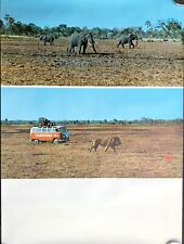 Vintage 1970's Original TAP Airlines Gorongosa Mozambique National Park Poster picture
