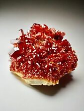 Red Vanadinite Crystal Cluster with matrix Atlas Mountains Morocco ( 120 grams ) picture