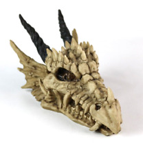 Ebros Jurassic Beowulf Elder Dragon Head Skull Jewelry Box Opens Statue 8