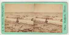 BEACH SCENE - CHILDREN - OAK BLUFFS - COTTAGE CITY - MARTHA'S VINEYARD - ADAMS picture