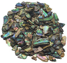 Paua Shell Pieces - Gloss -  6mm - 25mm - 1/4 lb Lot - Abalone picture