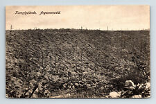 c1916 Postcard WWI Argonne Forest Battlefield Wasteland German Language picture