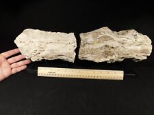 Perfect BARK HUGE Highly Agatized Petrified WOOD Fossil Wyoming 8728gr picture