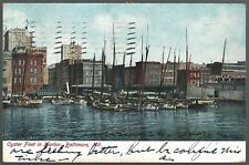 Postcard Baltimore Ocean Harbor Maryland Oyster Fleet 1906 picture