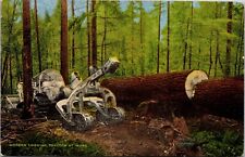 Vtg Modern Logging Tractor Cat at Work Lumber Industry 1940s Linen Postcard picture