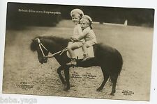 Prince Wilhelm, Prince Louise Ferdinand, Germany Vintage Photo Postcard, Royalty picture