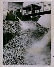 LG821 1962 Original Photo WATER BEET-IN Warsaw Poland Sugar Factory Hose Spray picture