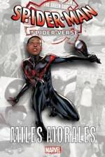 Spider-Man: Spider-Verse - Miles Morales (Into the Spider-Verse: Miles M - GOOD picture